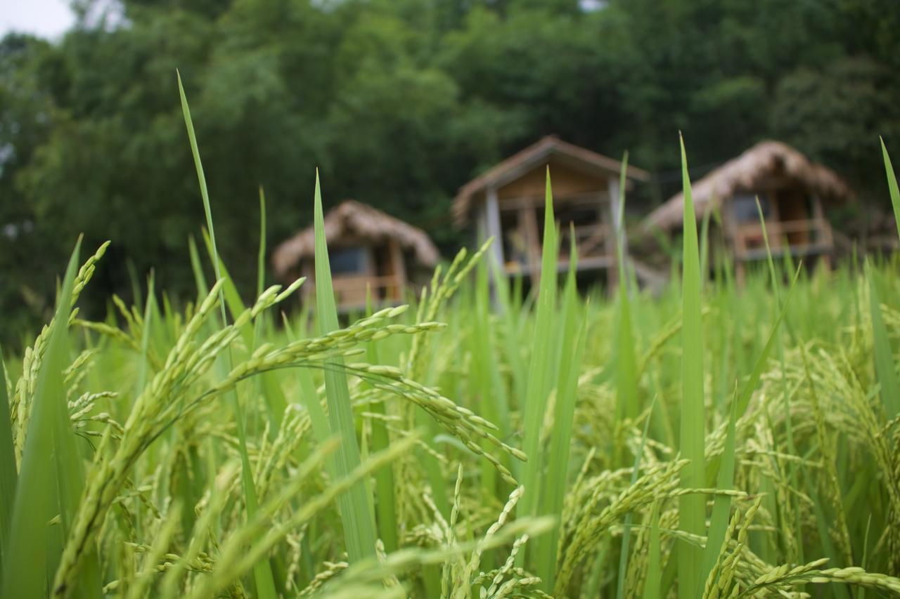 Little Mai Chau Home Stay المظهر الخارجي الصورة