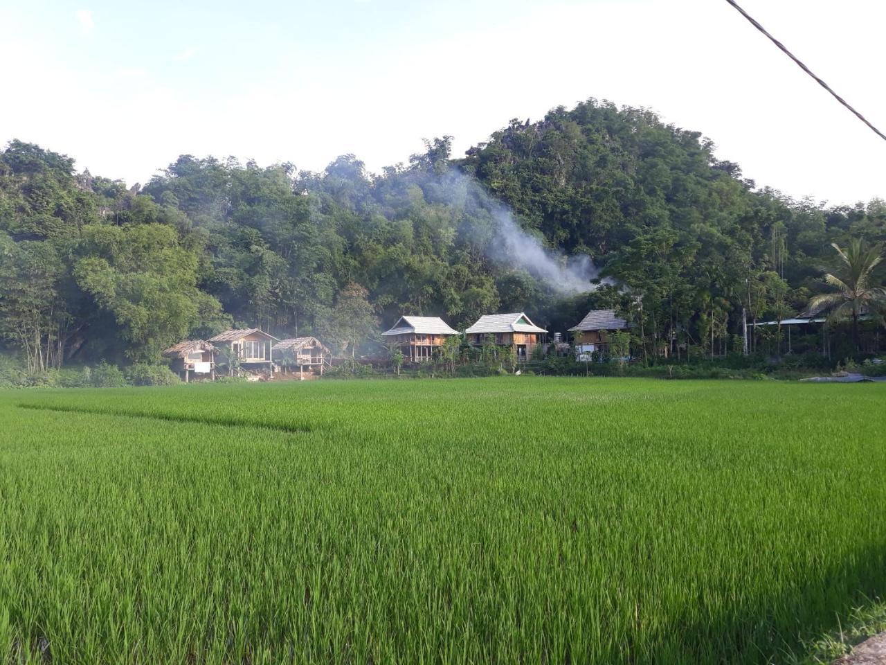 Little Mai Chau Home Stay المظهر الخارجي الصورة