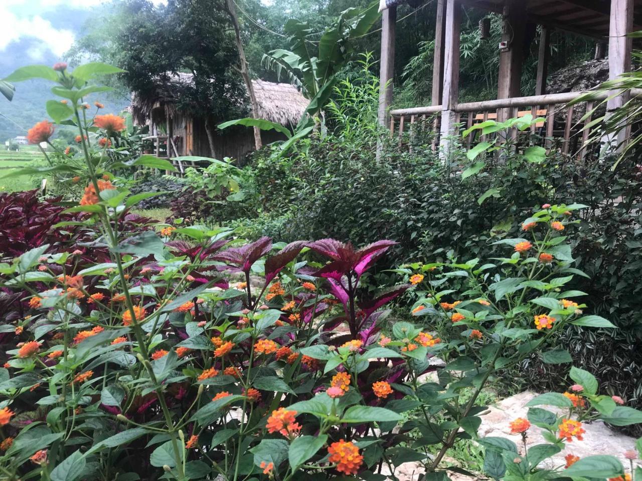 Little Mai Chau Home Stay المظهر الخارجي الصورة