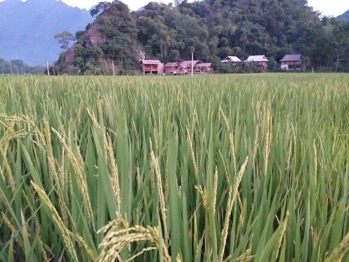 Little Mai Chau Home Stay المظهر الخارجي الصورة